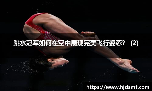 3377体育官网